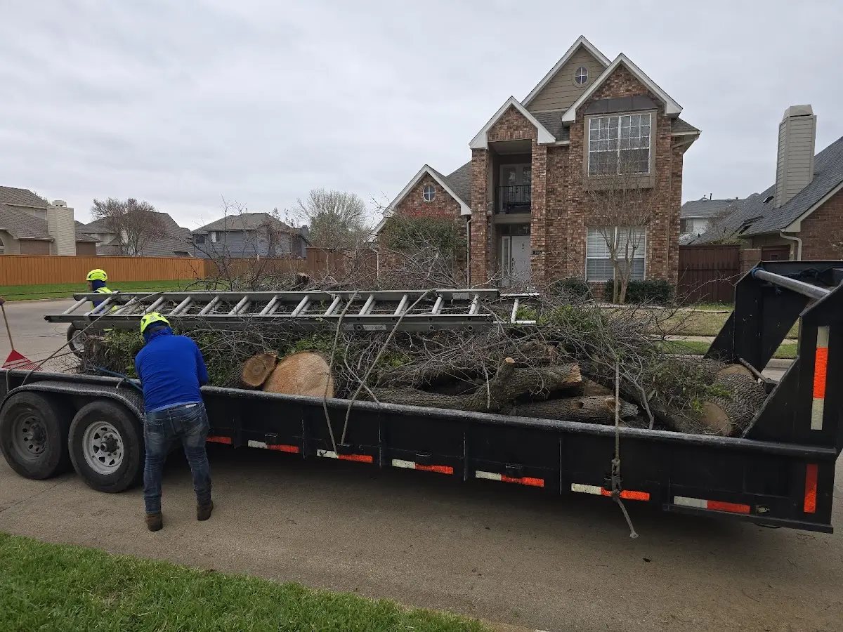 Expert Tree Fertilization with proper safety equipment in Bone Gap